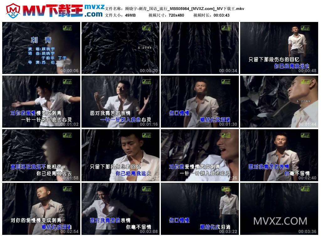 顾晓宇-刺青_国语_流行_MB505984